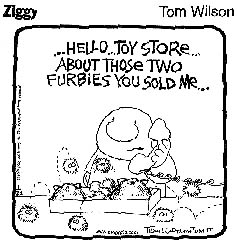 Ziggy and Furbies